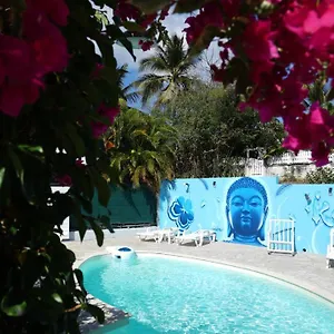 Surf Camp Kokoplaj, A 150m De La Et Du Spot De Surf Appartement Sainte-Anne (Grande-Terre)